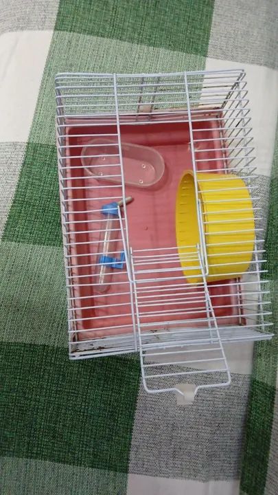 Gaiola de Hamister - Foto 4