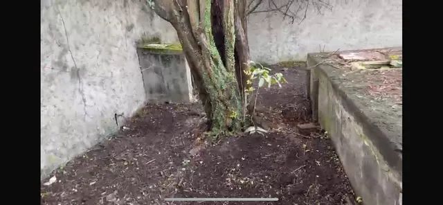 Terreno em candeias 450 m2, nascente, esquina, todo murado, com 73,5 m2 de área construída - Foto 3