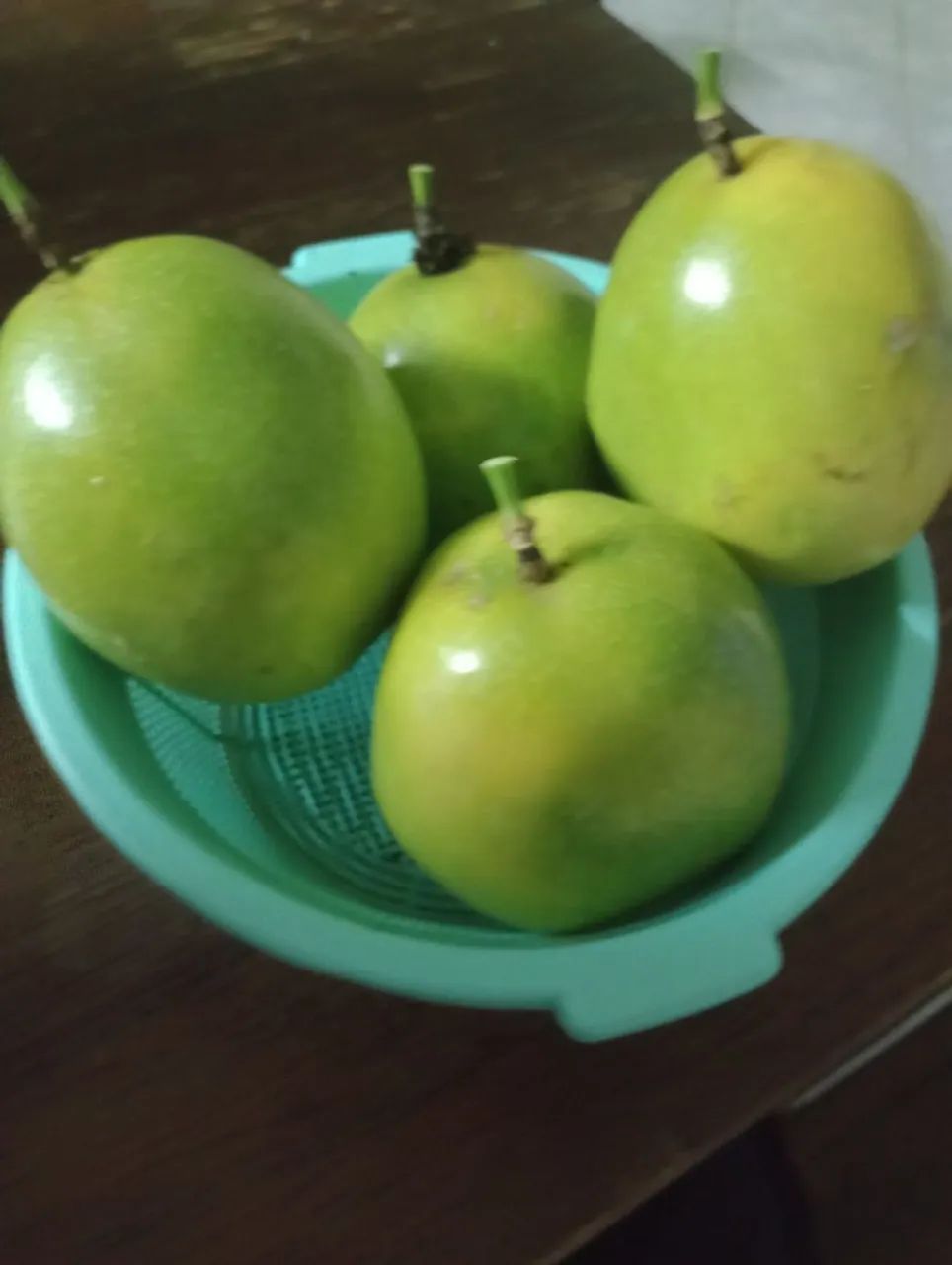 Sementes de maracujá para plantio ( alta produtividade) - Foto 3