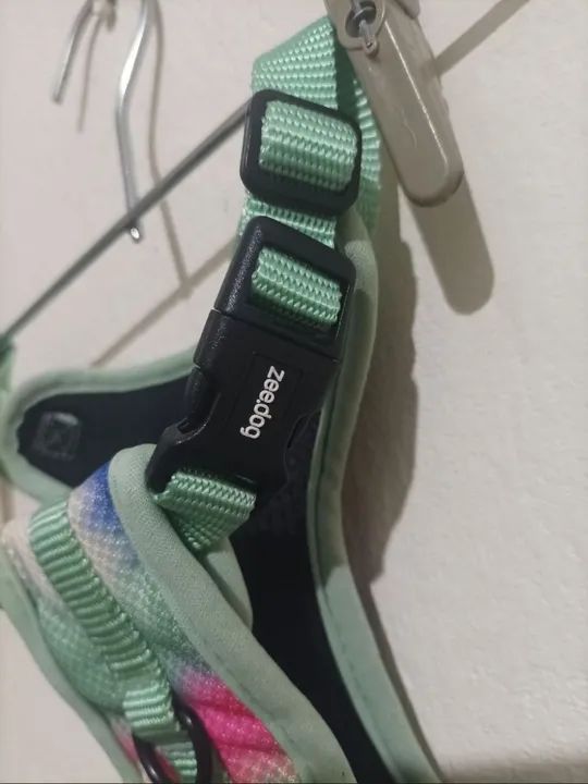 Peiteira Zeedog - Foto 2