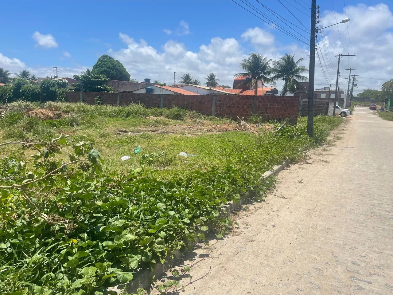 Terreno Barra de São Miguel - Foto 4