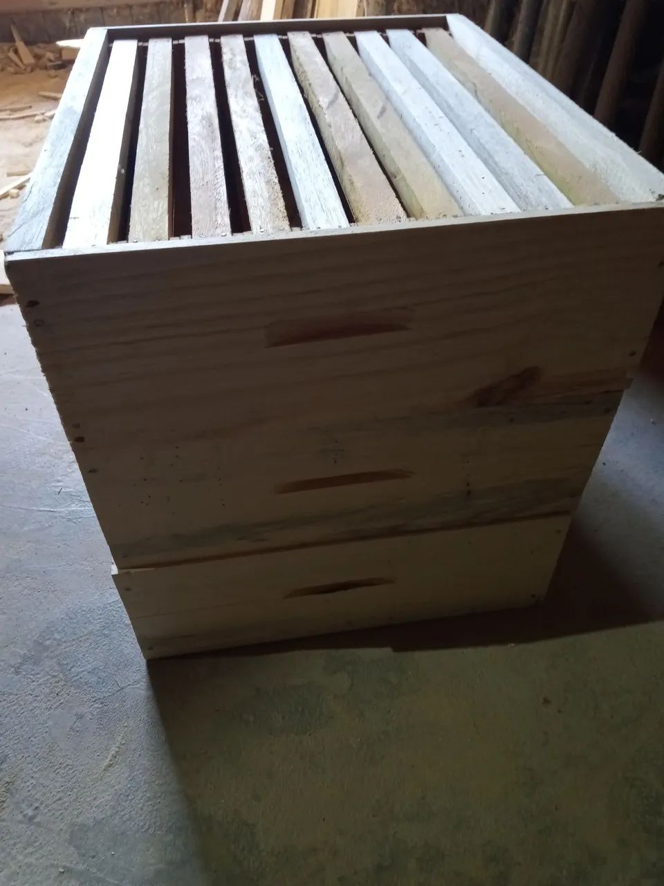 Apicultura  - Foto 6