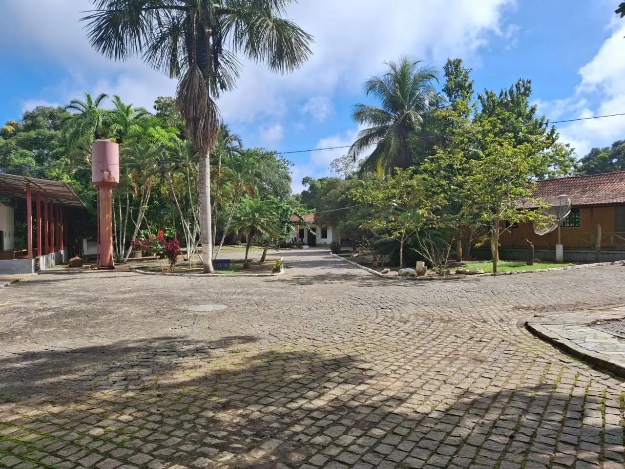 Alugo Área de laser em Chácara  - Foto 3