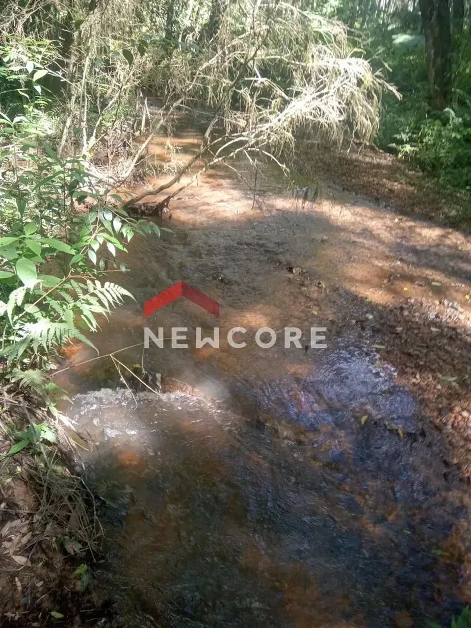 Chácara em Área Rural - Área Rural de São José dos Pinhais - São José dos Pinhais/PR - Foto 4