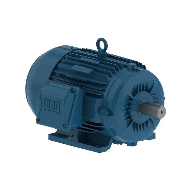 MOTOR 25cv 4P 160L WFF2