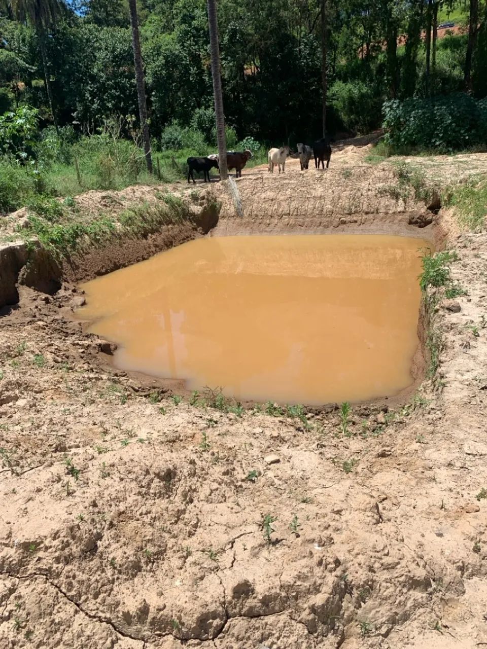 Terreno em Taquaracu de Minas Maravilhoso  - Foto 6