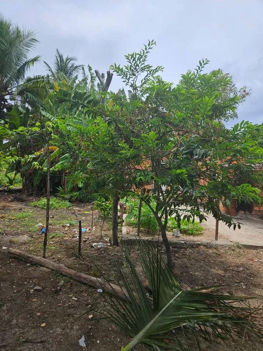 AREA com 5.700 m2,  com lagoa e natureza exuberante - Foto 5