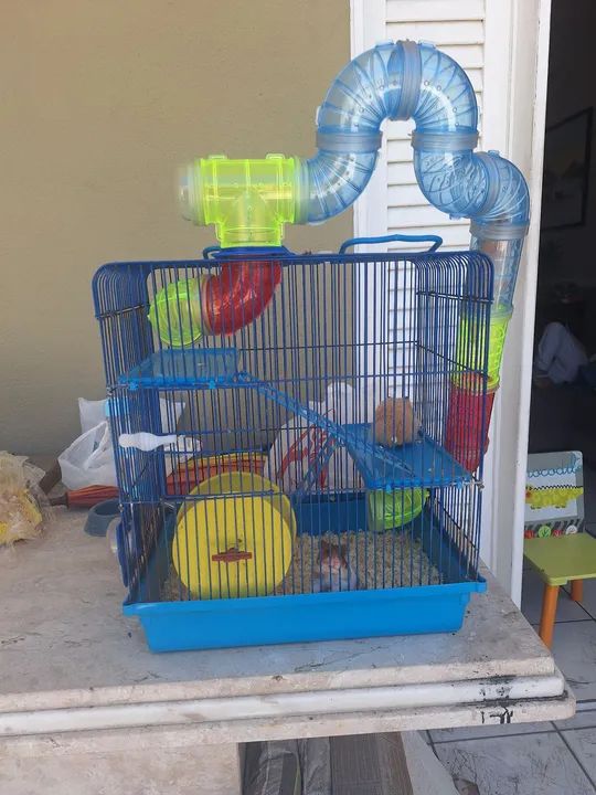 Vendo gaiola com 03 Hamster