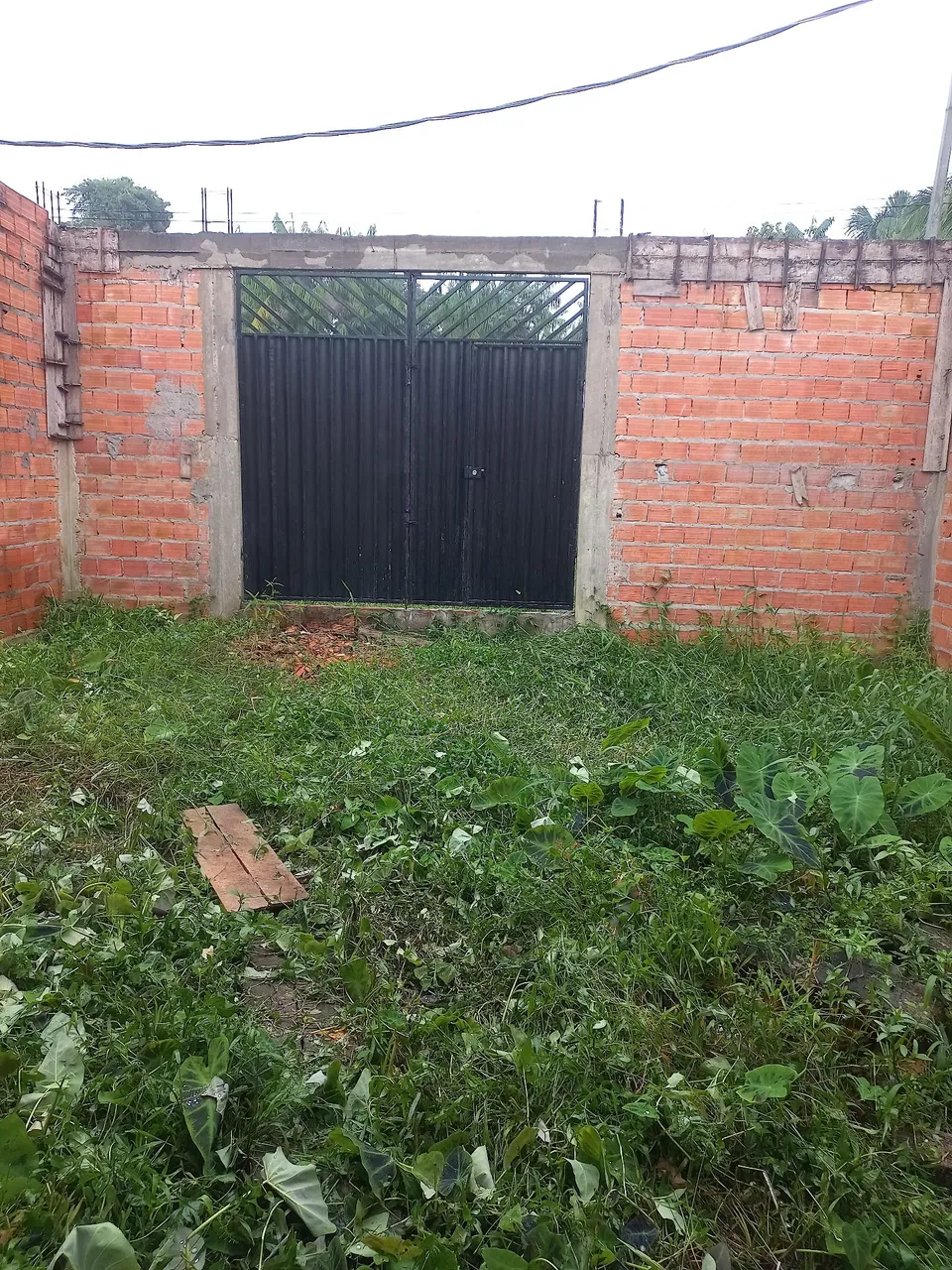Terreno no centro (Barbada)