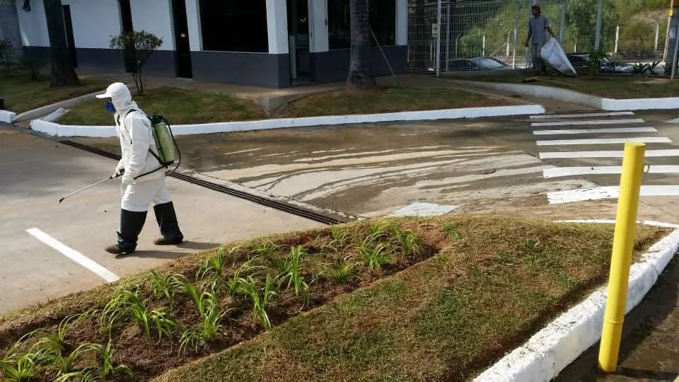 Jardinagem paisagismo e gramados - Foto 3