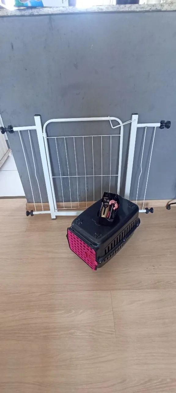 Kit para Cachorro 