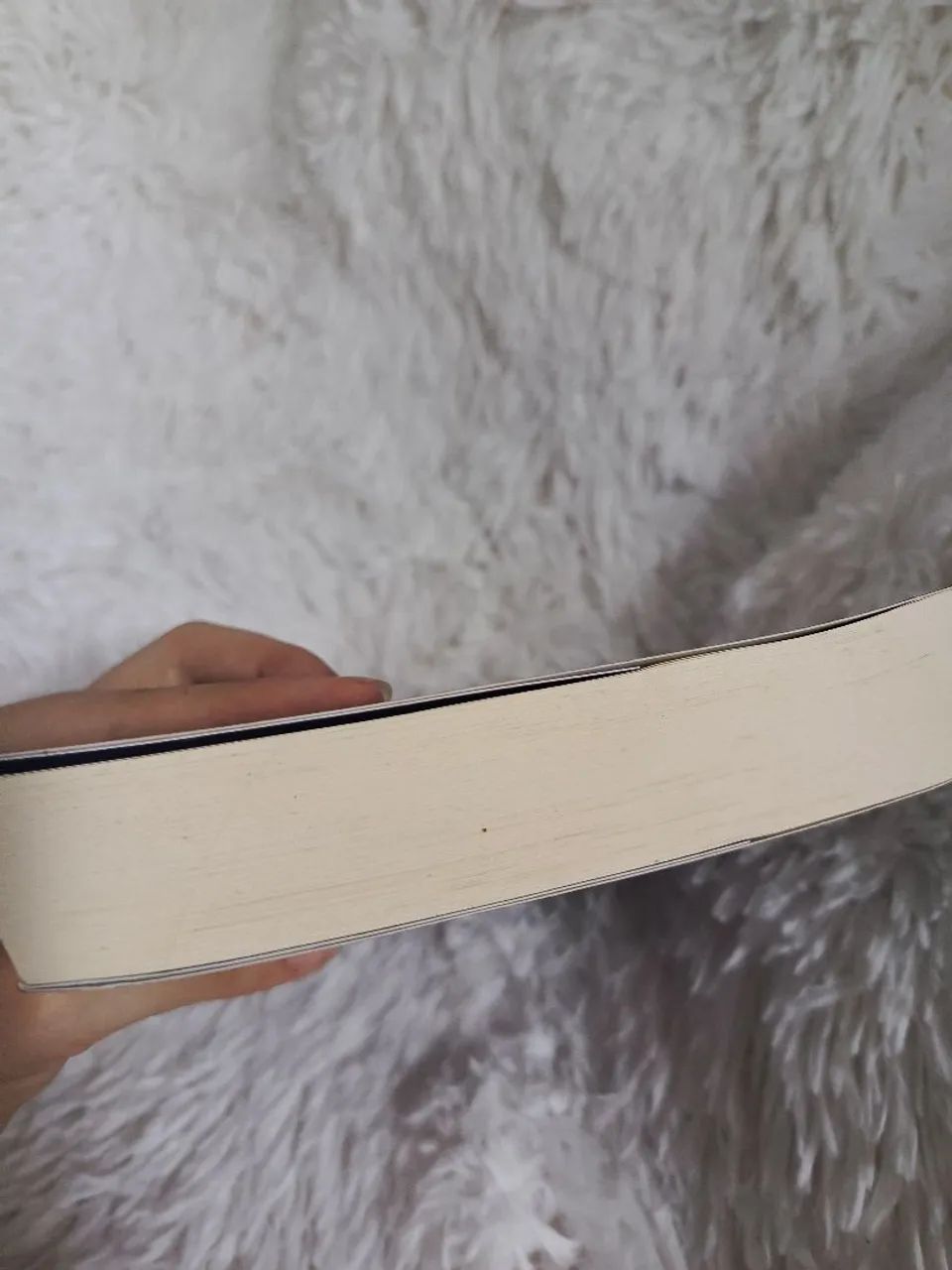 Livro: Pássaro & Serpente  - Foto 4