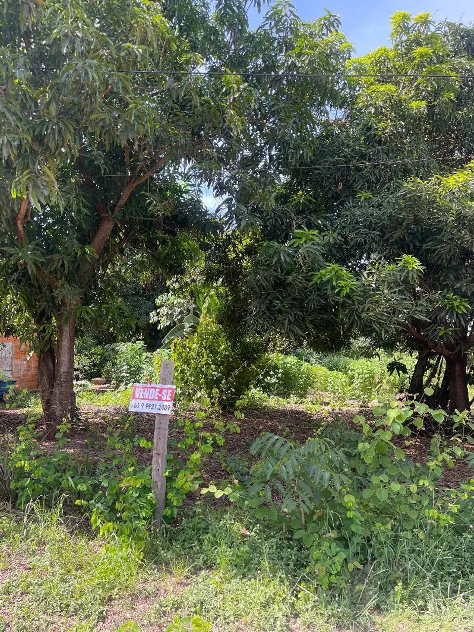 terreno nova esperan ça  - Foto 2