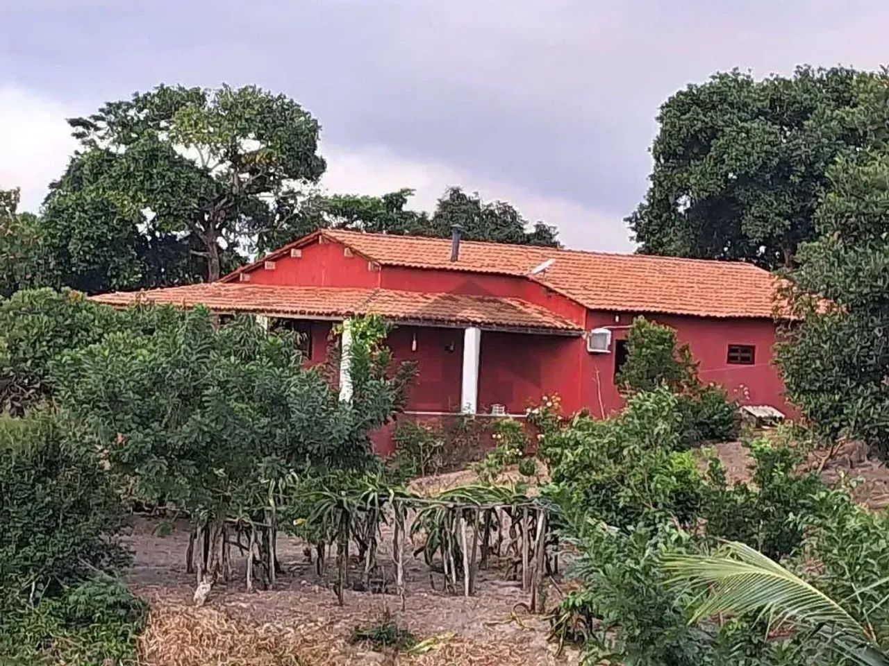 Chácara de 1 hectares e 200m, com casa principal, localizada em Sairé - Pernambuco.