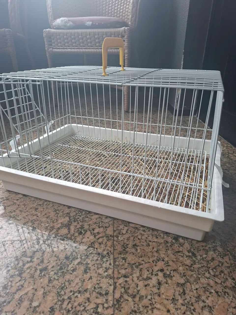 Gaiola 424794540139489282