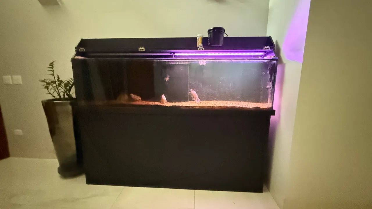 Aquário com móvel preto 2 metros  - Foto 2