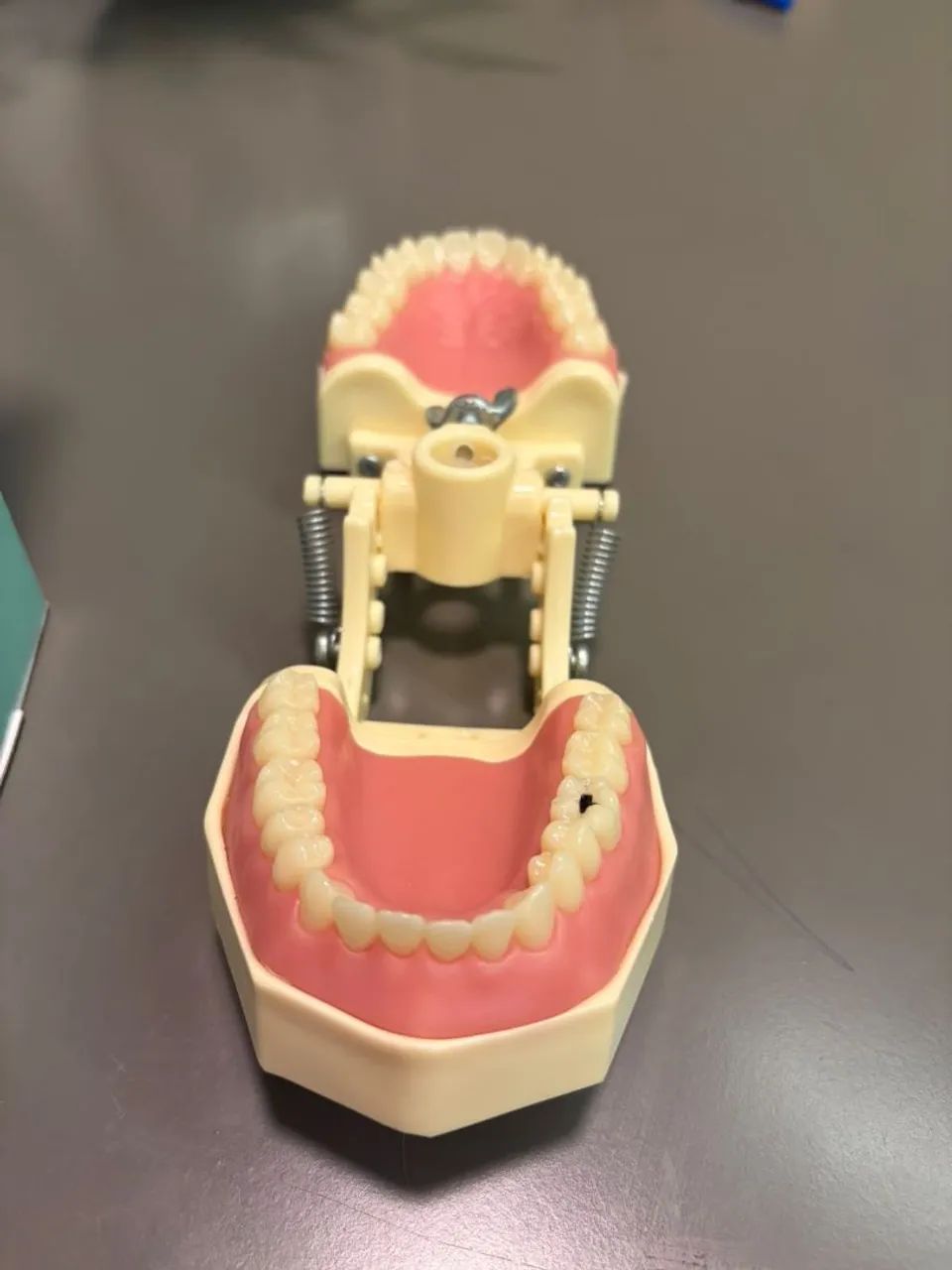 Vendo Kit Manequim Odontológico  - Foto 5