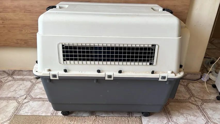 Caixa de transporte de cachorro 