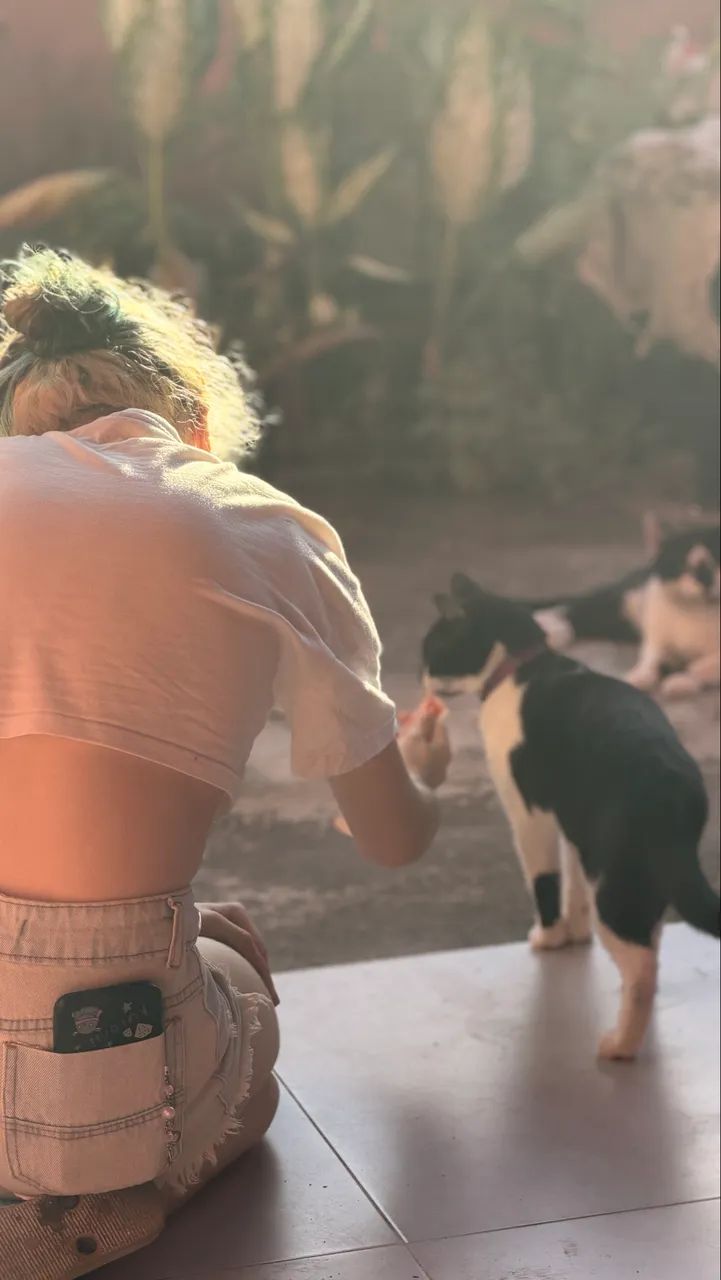 Petsitter - Babá de animais - Gato, Cachorro, Coelho - Foto 3