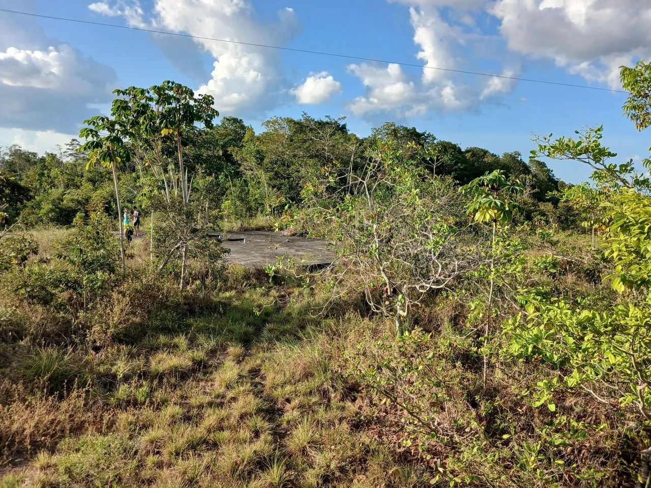 Sitio à Venda