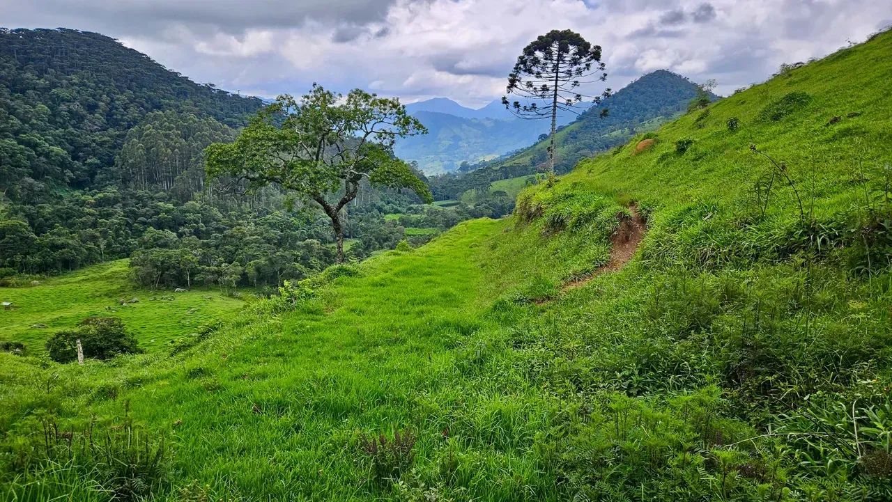 Fazenda com 284,5 ha em Brazópolis - MG - Foto 4