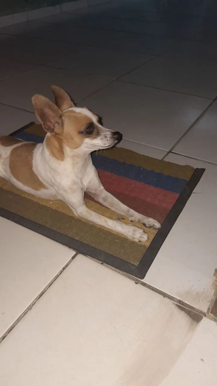 Doação  - Foto 5