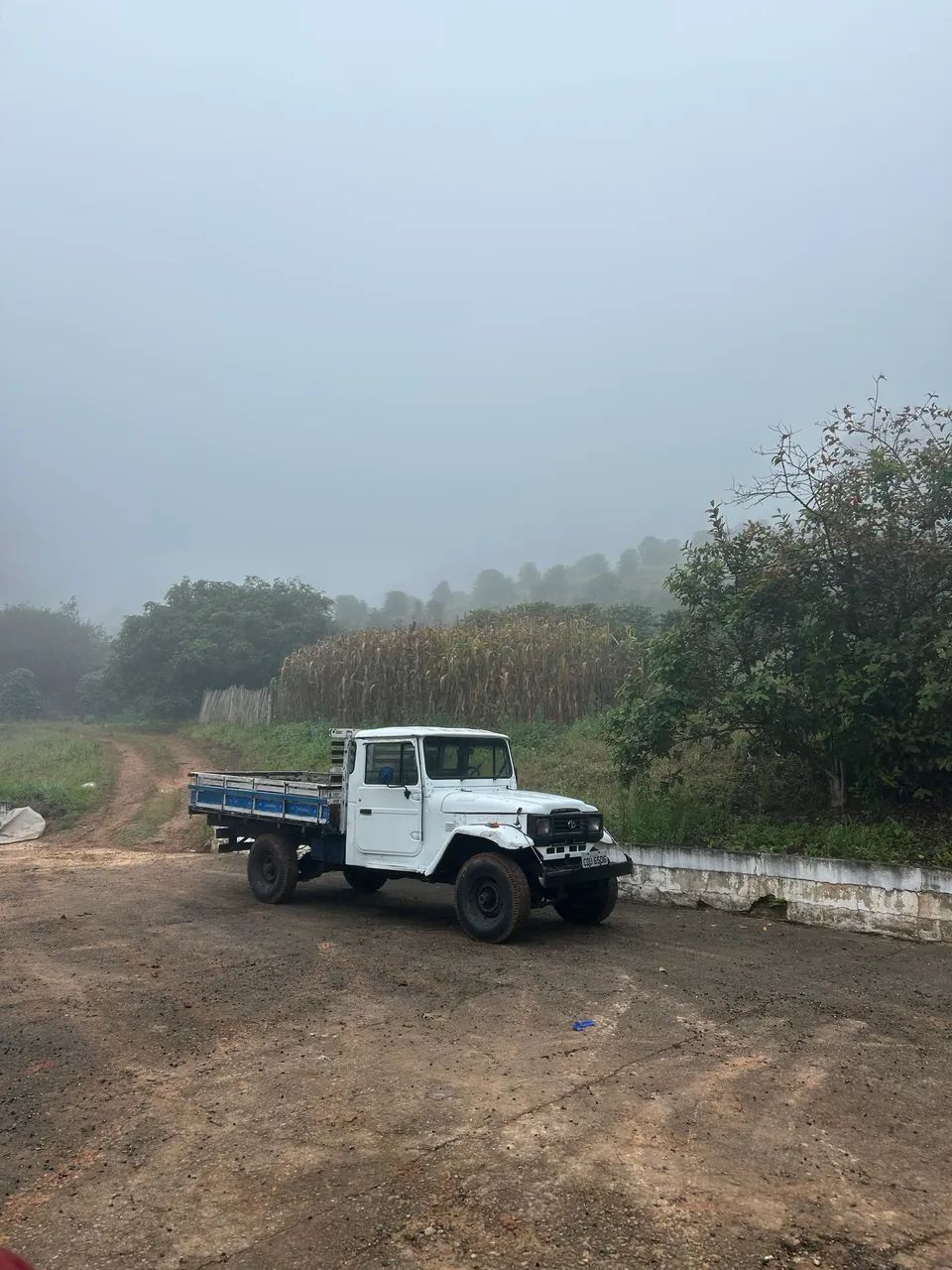 Toyota Band.Picape Chassi Longo Diesel 1996