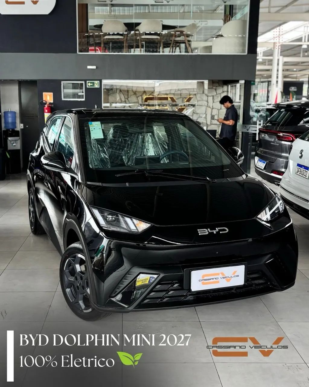 BYD Dolphin Mini (Elétrico) 2027
