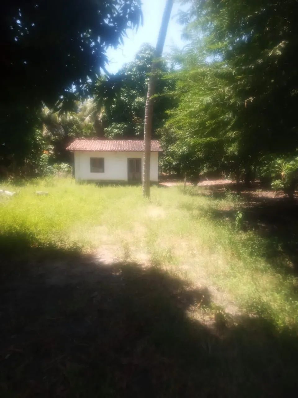 Terreno (sítio) de 2790m² - Foto 3