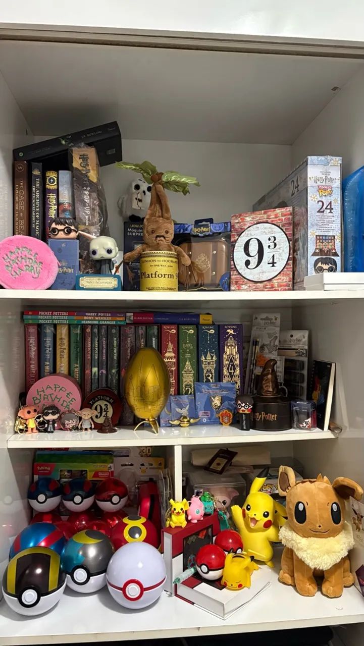 Coleção Harry Potter e Pokémon 