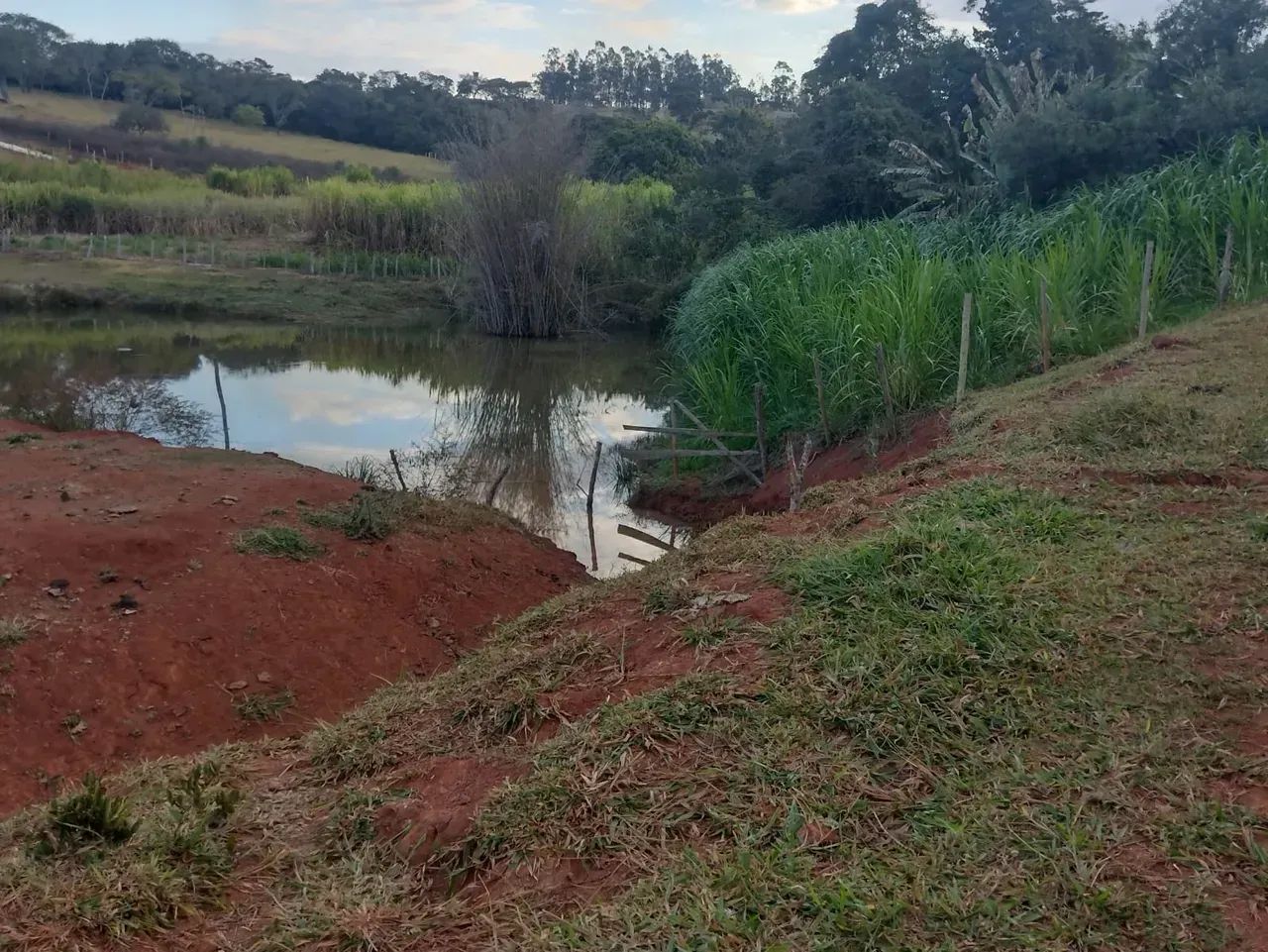 Terreno com boa topografia e água em Zona Rural - Carmópolis de Minas - MG - Foto 5
