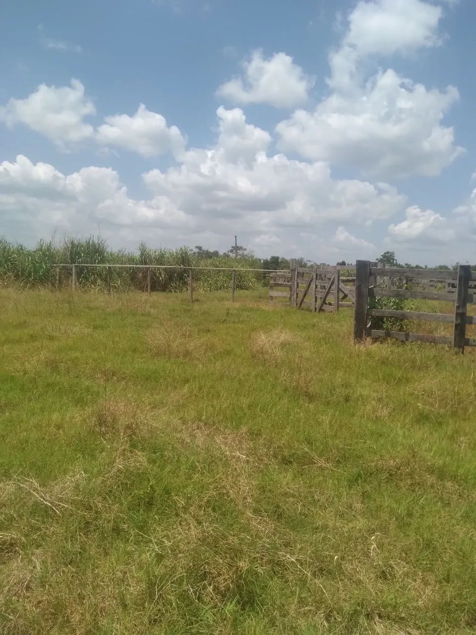 Fazenda - Foto 3