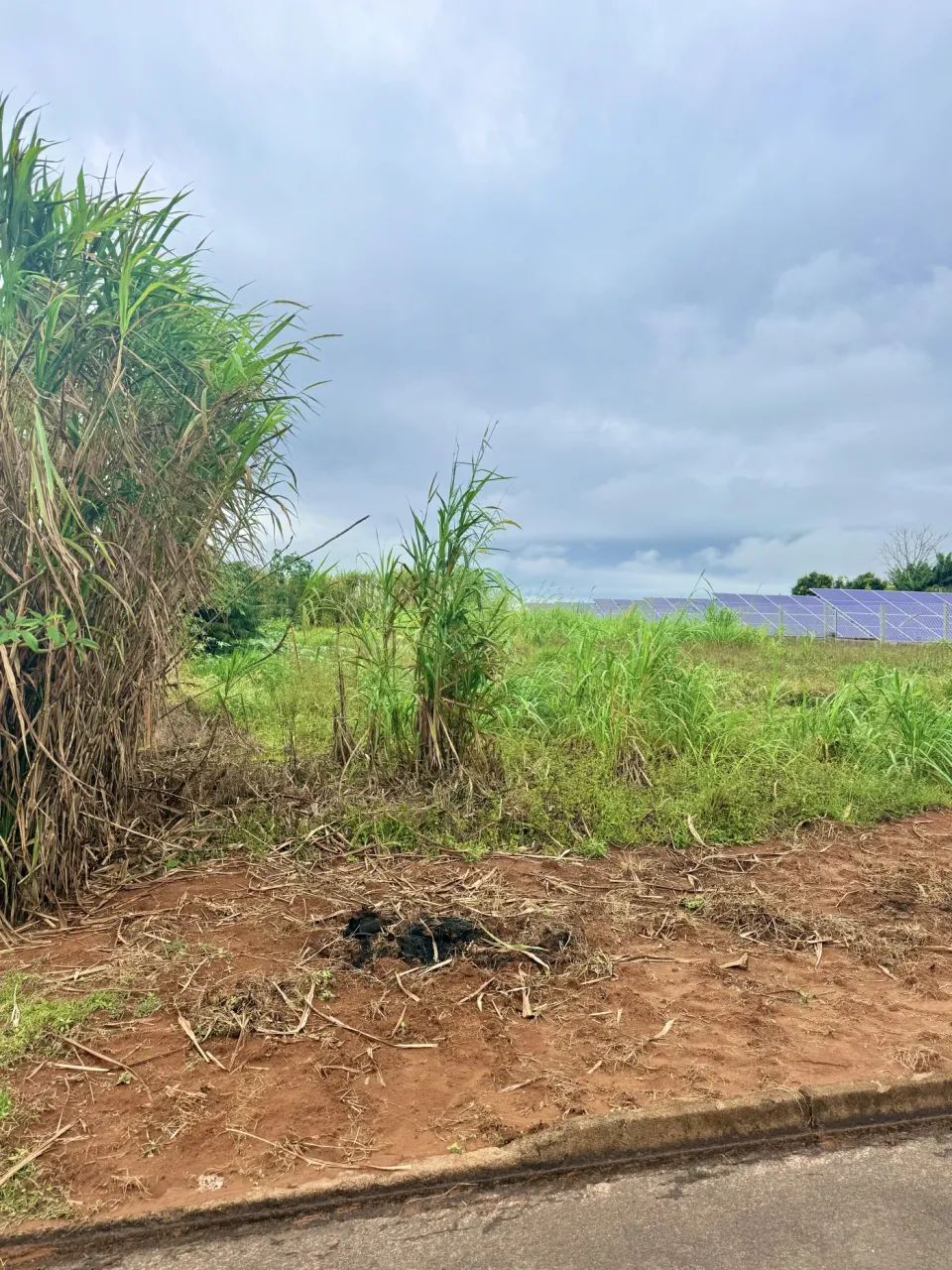 Terreno Condomínio em Santa Fé - Foto 3