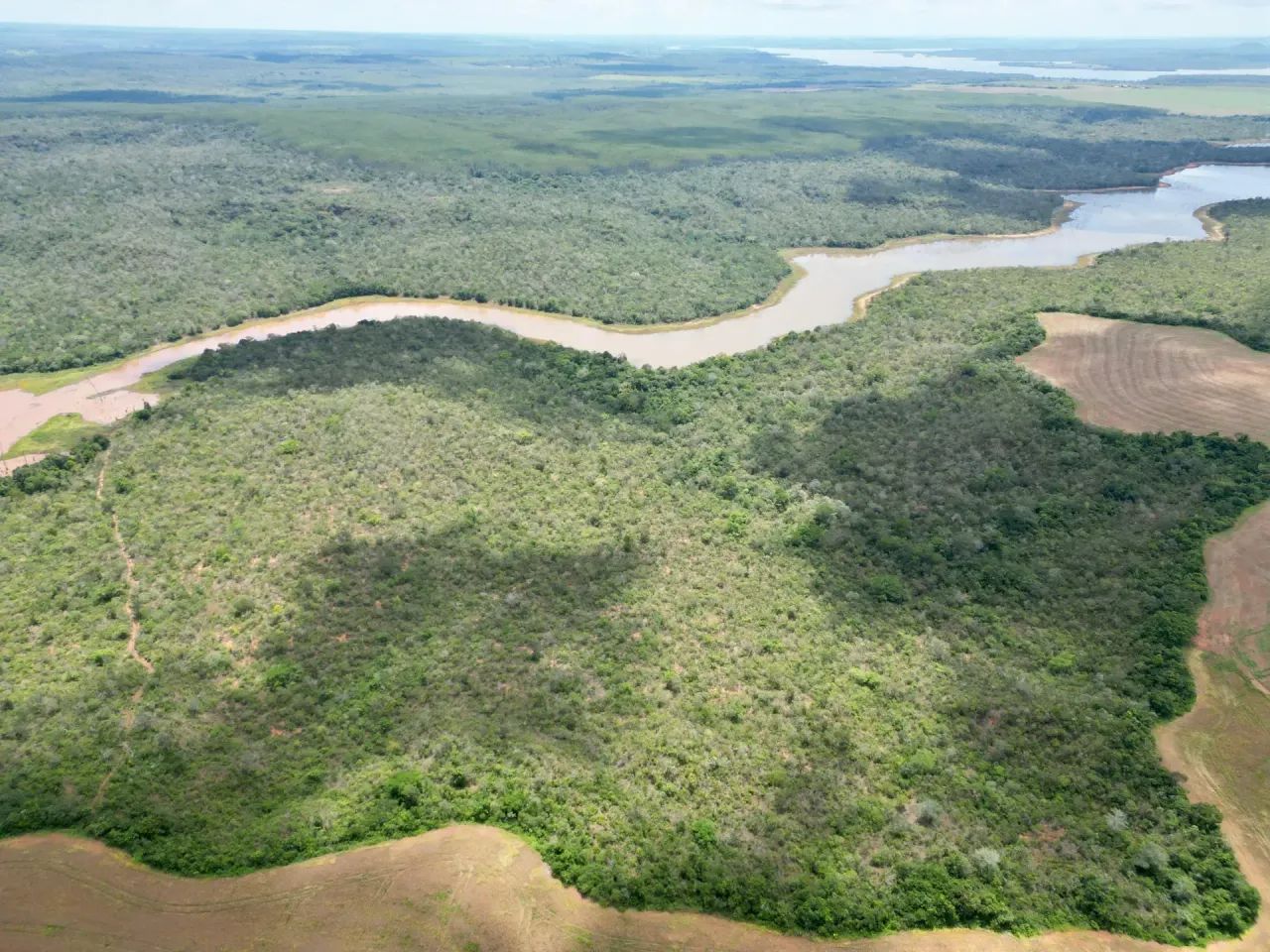 Excelente Área. Com:193 Hectares,  município de Darcinópolis - TO - Foto 2