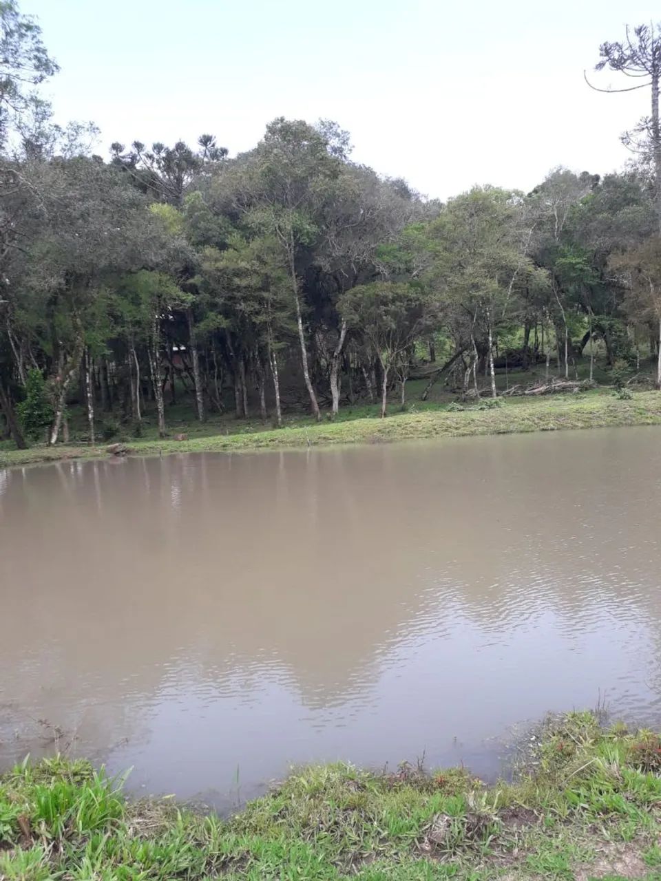 Chacara com casa e tanque peixe - Foto 4