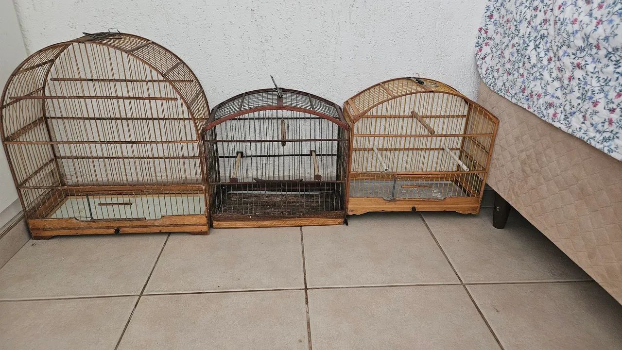 Gaiolas de passáros