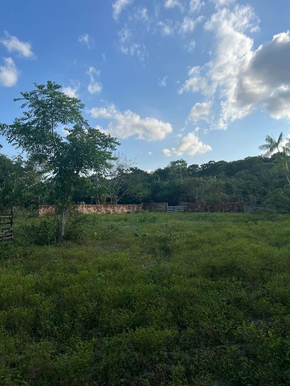 Foto - Castanhal - Saudade I