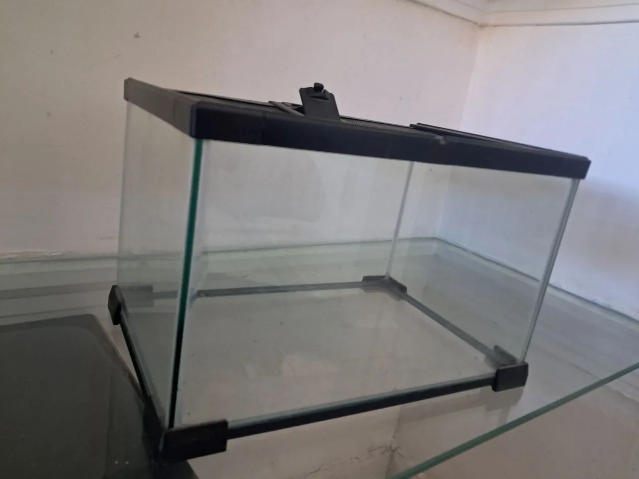 Terrario