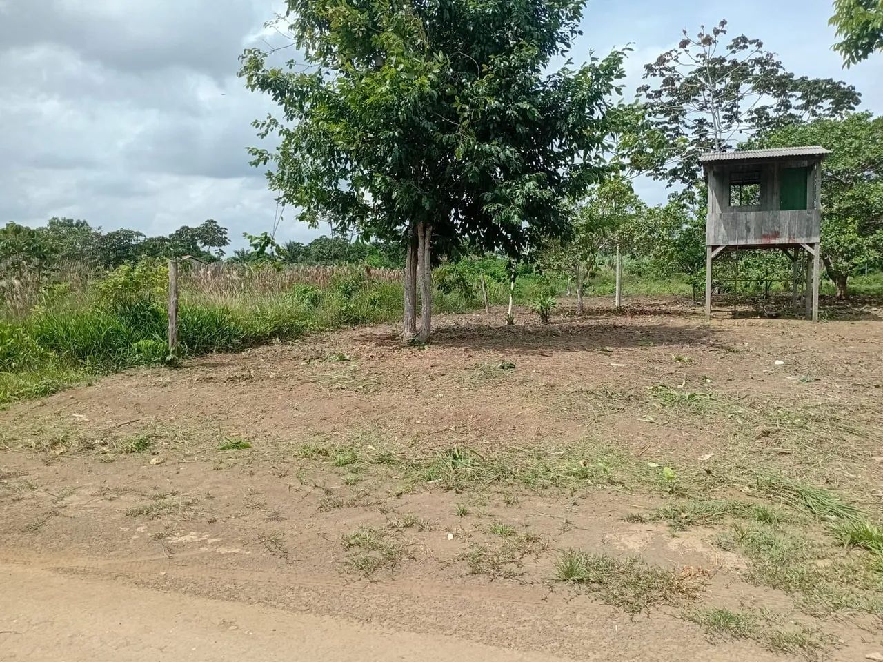 Vendo terreno, cidade nova - Foto 3