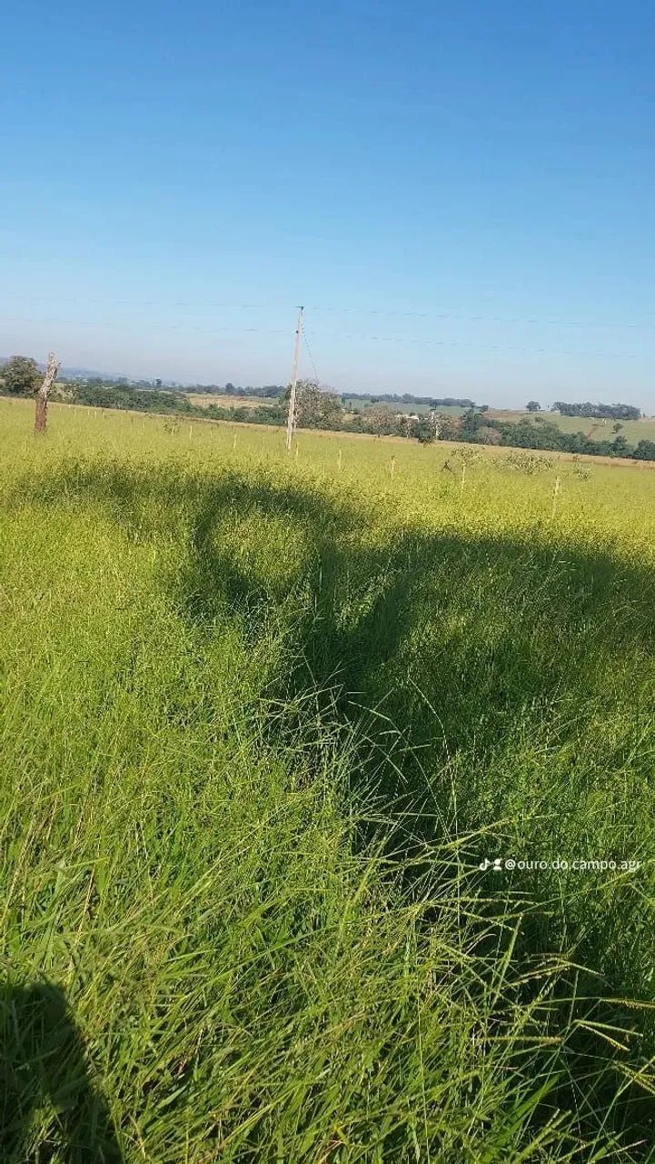 Vende-se Propriedade Rural estruturada! - Foto 3