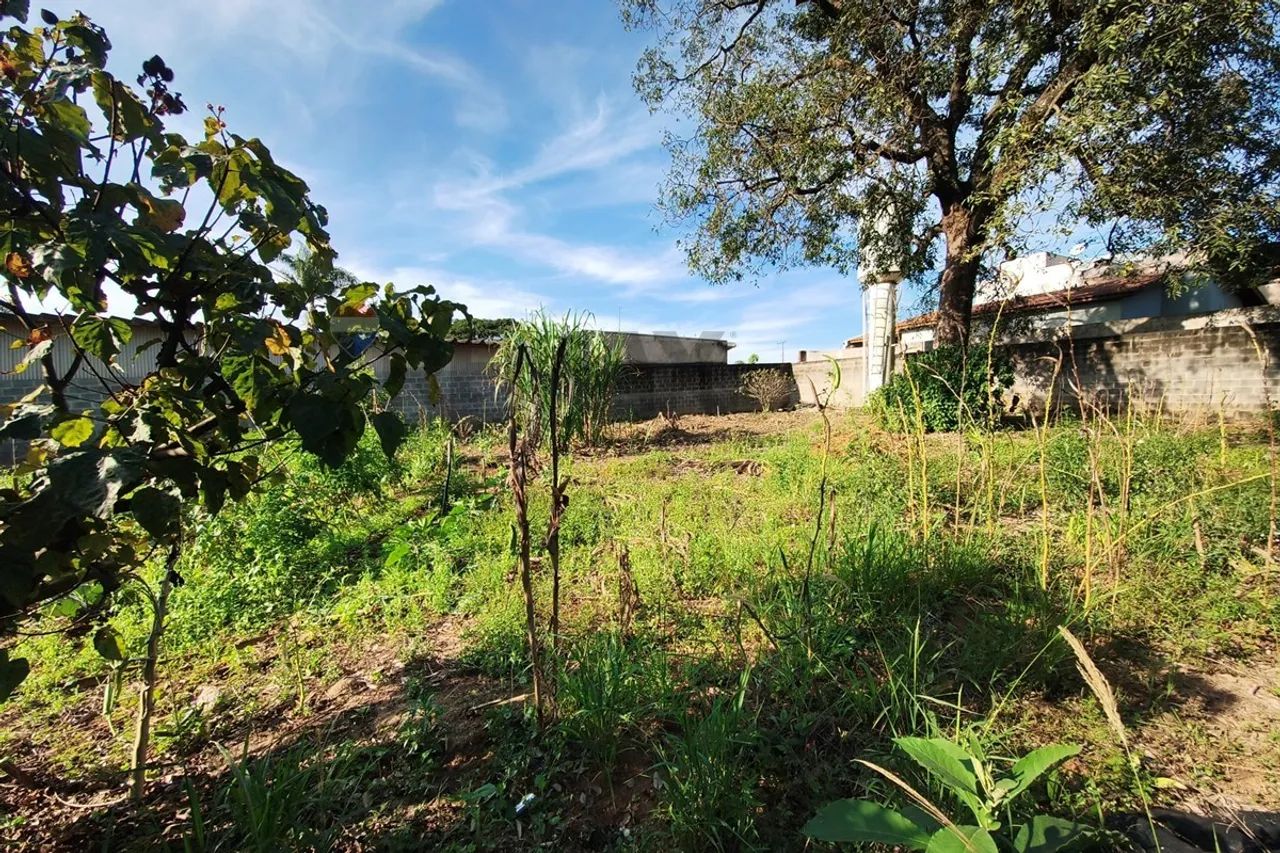 Terreno 857,461 m² Totalmente Murado - Artur Nogueira - Foto 3