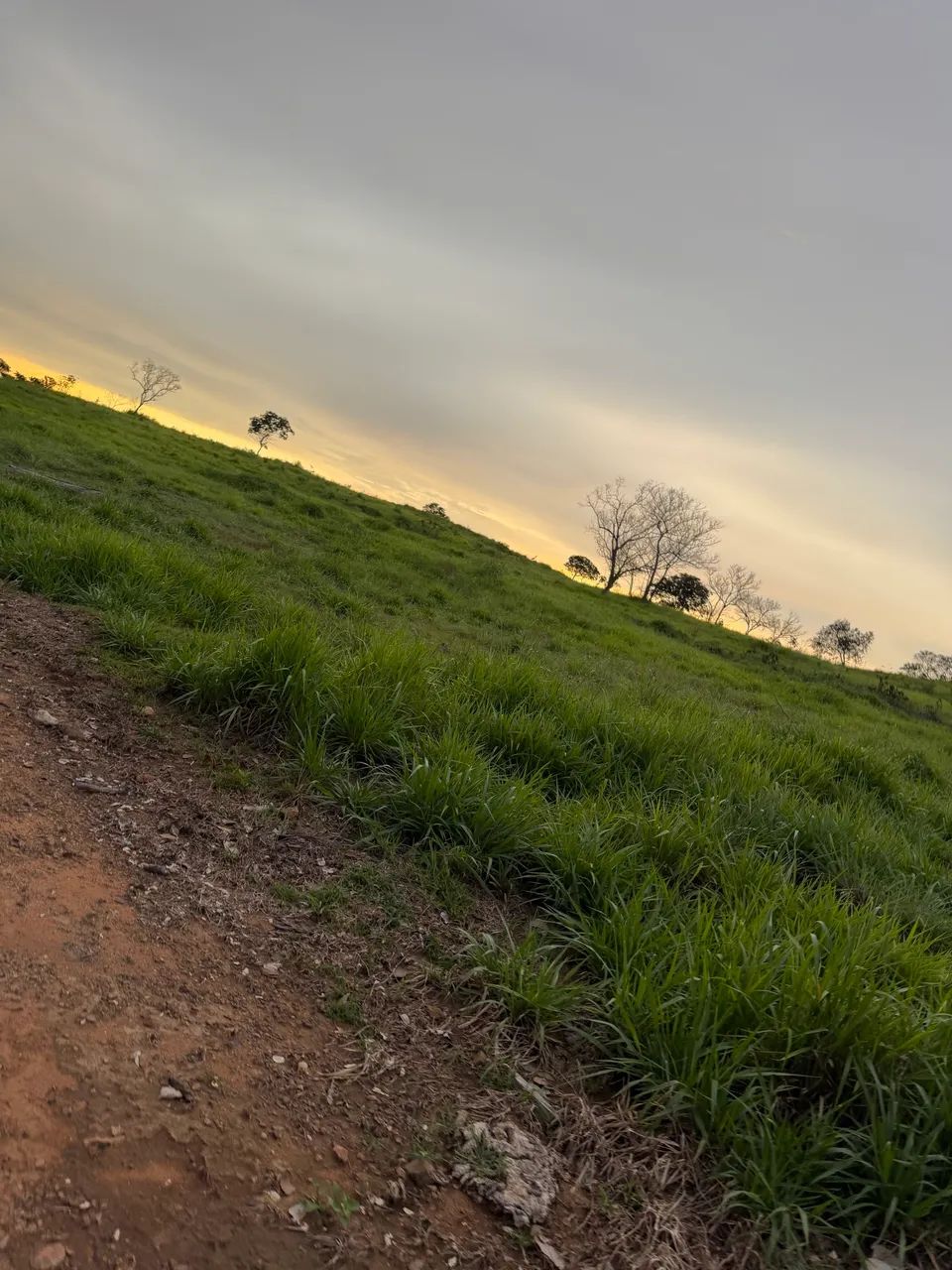 Alugo Fazenda Lagoa do Tocantins  - Foto 4