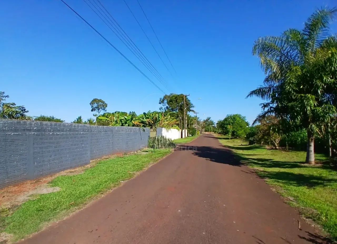 Chácara à Venda com Casa em Sertanópolis - Foto 3