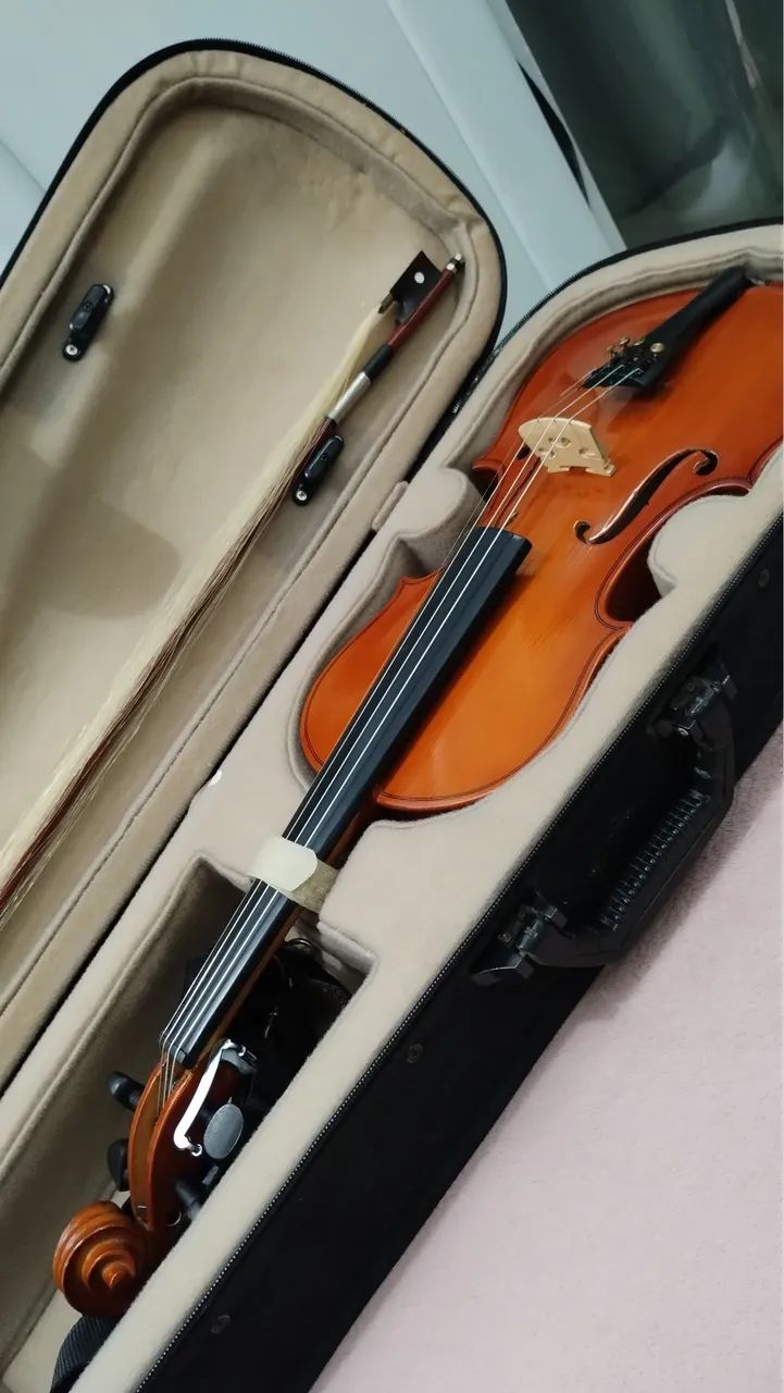 Violino 4x4 - Foto 2