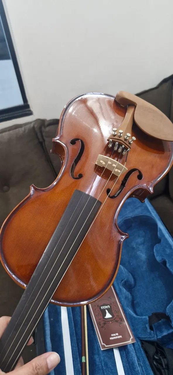 Violino para iniciantes