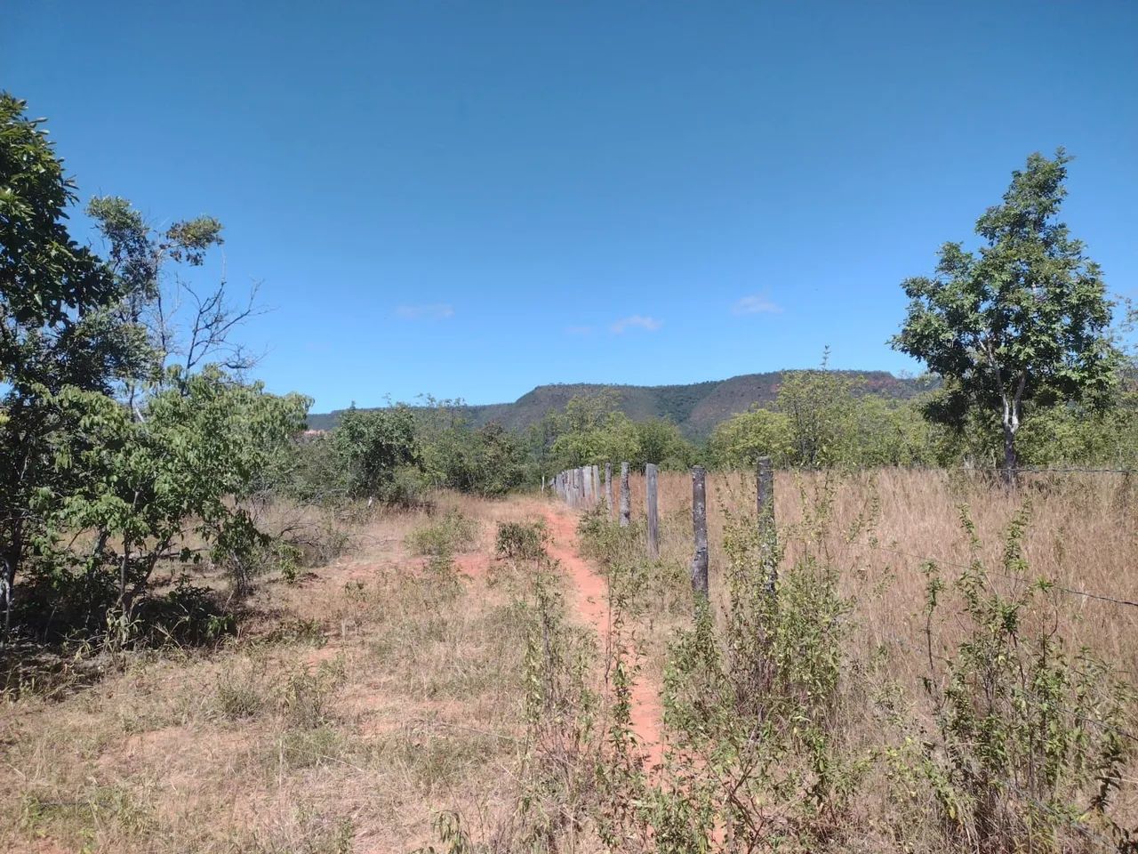 Vendo terreno com 5,7 hectares BARATO . - Foto 4