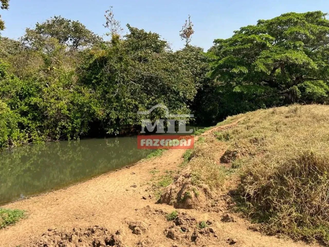 Chácara 7,5 Alqueires (36 Hectares) Brazabrantes - GO - Foto 3