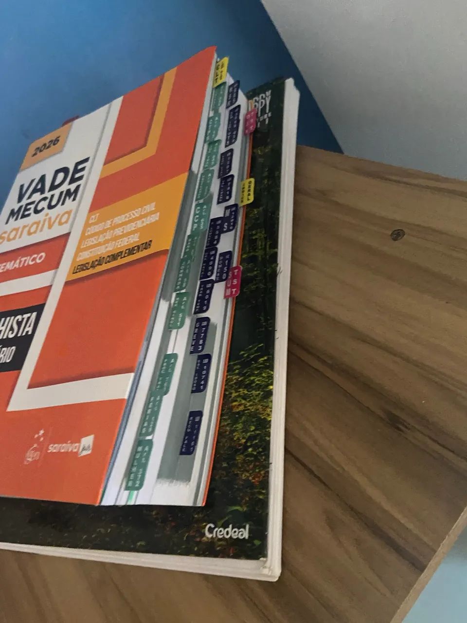 Vade mecum 2026 