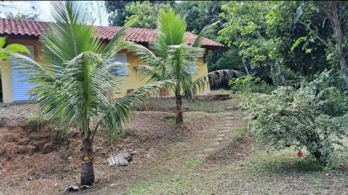 Lindo Sítio em meio a natureza  - Foto 5