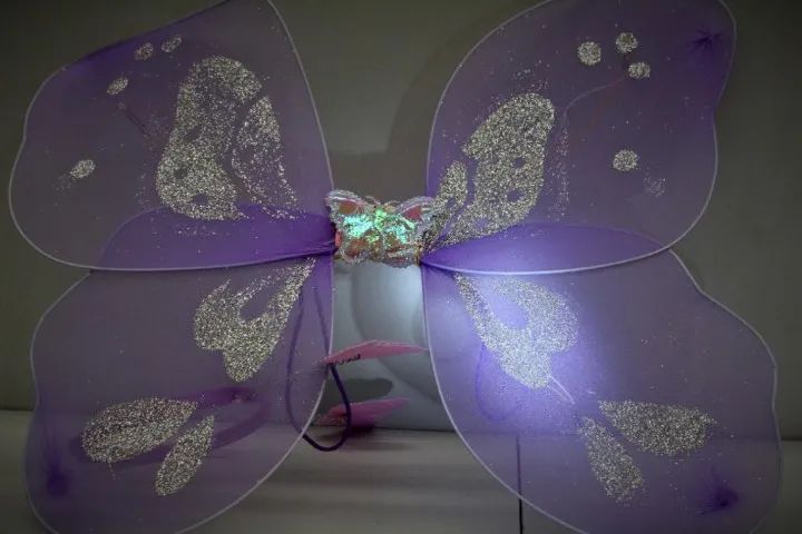 ASA DE BORBOLETA LILAS